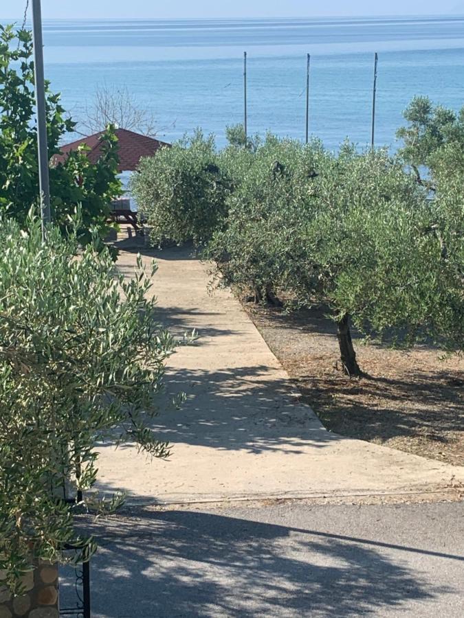 Seaside Folia Beach Kavala Loutra Elevtheron Zewnętrze zdjęcie